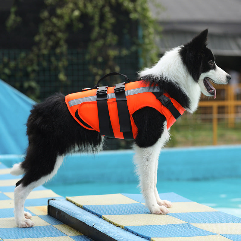 Gilet de Sauvetage pour Chien