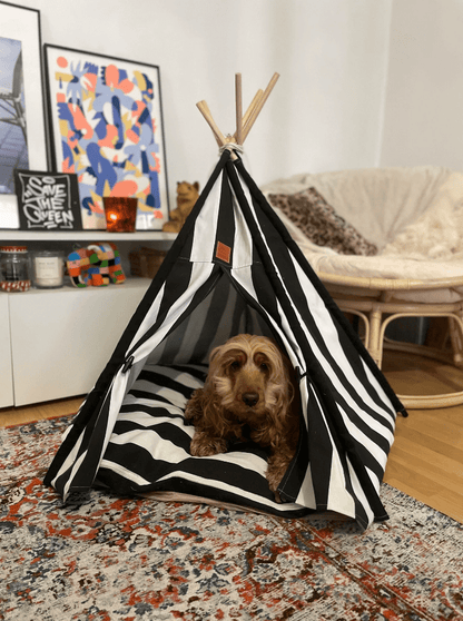 Panier Tipi pour Chien