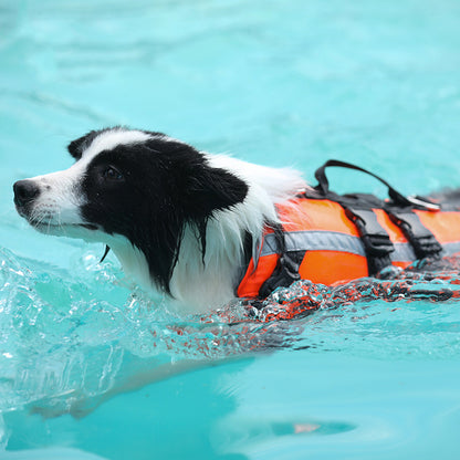 Gilet de Sauvetage pour Chien