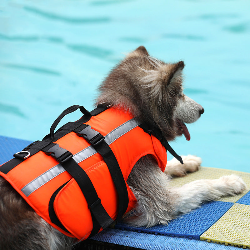 Gilet de Sauvetage pour Chien