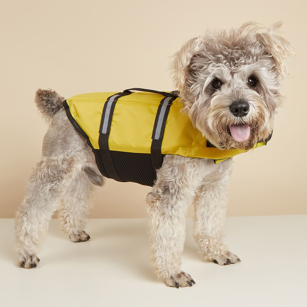 Gilet de Sauvetage pour Chien